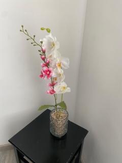 Magnifique Appart pour 4 personnes complètement reno - 6