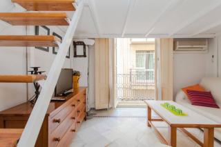 LOFT CON ENCANTO en Casa Palacio JUNTO CATEDRAL WIFI - Siviglia - 9