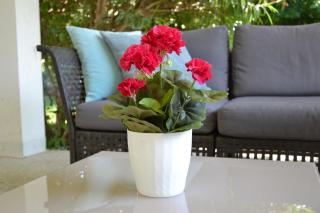 Italia Living Villa - Padenghe sul Garda - 3