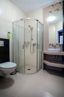 Hotel Madelaine - Lwówek Śląski - 5