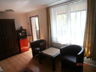 Villa Pod Orzechem w Zaniemyślu - Zaniemyśl - 8