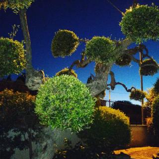 B&B Villa Lucia - Bari - 7
