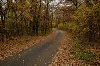 Cseri Vendégház - 8