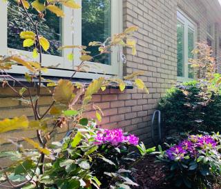 Gouden Hert: relaxen in comfort! #otterlo #hogeveluwe - 2