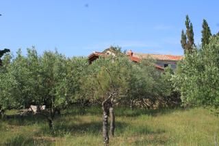 Holiday house with WiFi Stivan, Cres - 7995 - Štivan - 3