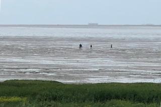 Het Huis van de Wadden - Den Oever - 8