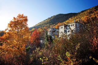 Hotel Athina - Elati - 5