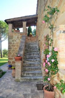 Agriturismo Il Casalino - Pienza - 3