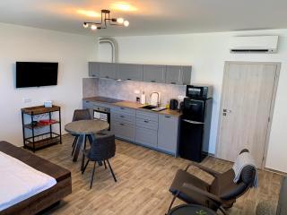 Apartmán C16 Mikulov - Mikulov - 6