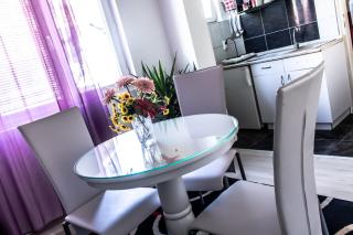 Apartment Sim - Banja Luka - 8