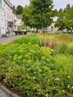 Sophienstrasse Appartement - Baden-Baden - 6