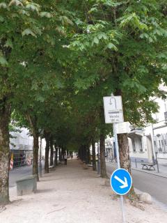 Sophienstrasse Appartement - Baden-Baden - 7