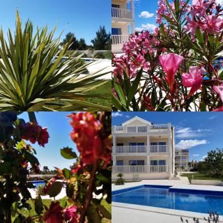 Villa Bachelor Apartments - Vodice - 3