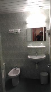 Hôtel Myosotis - Lourdes - 1