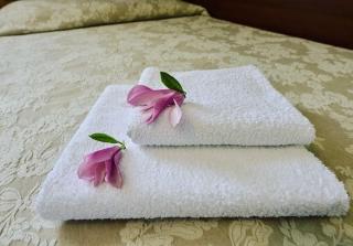 Hotel Mateo - Stopnica - 9