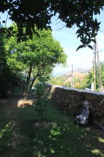 Studio Zen - Barbaggio - 1