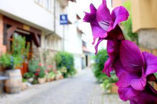 D & S Hotel & Ferienwohnungen - Besigheim - 9