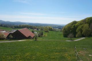 Ferienwohnung Köck - Lalling - 3
