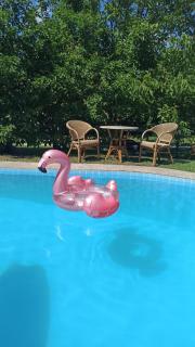 Kuca na selu sa bazenom - 4