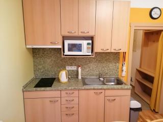 Apartmán Na Horách - Deštné v Orlických horách - 4