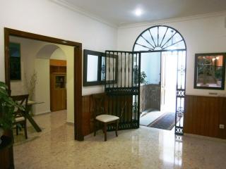 Sanvi Xerez Centro - Jerez de la Frontera - 8