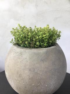 Ferienwohnung Baldauf - 2