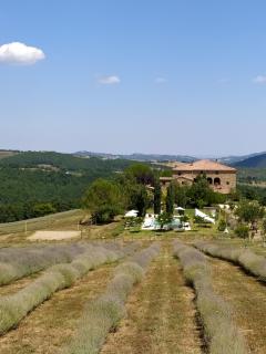 Locanda Cugnanello - Anqua - 8