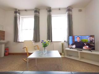Carnation Flat A in Wembley - 5