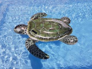 Martinique hostel - 1