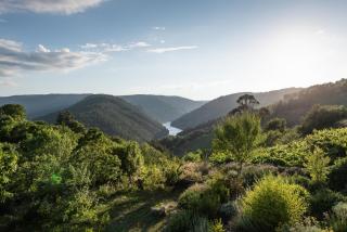 Casa de lujo en la Ribeira Sacra - Acova - 7