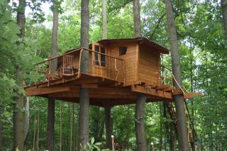Treehouse v Brdech - Bohutín - 0