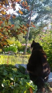 Ferienwohnung Bettina - 5