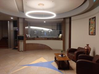 Hotel Astoria City Center - Iaşi - 7