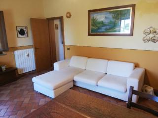 L'Aia degli olivi - Vada - 1