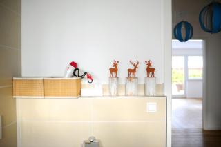 Apartment on Zugspitzstrasse - 1