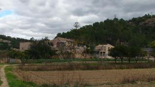 Hort de Mao - Benifallet - 3