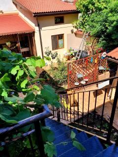 Casa Matilda - 6