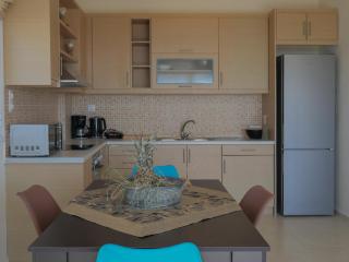 Haravgi 3 Bedrooms Villa - Agia Triada - 6