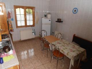 Vila Busteni DORA, locatie superba strada Grivitei 36 - Bușteni - 1