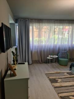 Zorilor Cactus Apartment - Cluj-Napoca - 8