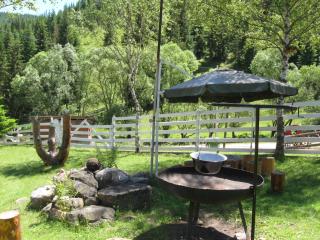 Podina Guest House - Poiana Horea - 4