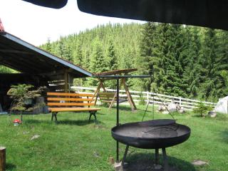 Podina Guest House - Poiana Horea - 5