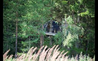 Palapinė medyje - 7