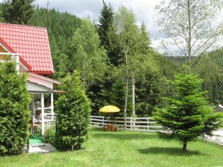 Podina Guest House - Poiana Horea - 2