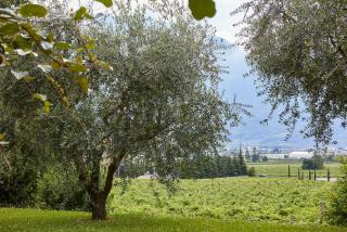 Residenza alle Grazie - Riva del Garda - 5
