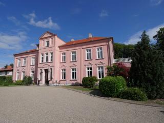 Schlosshotel Gross Koethel - Hohen Demzin - 9