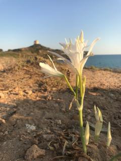 40° Parallelo Guest House - Riola Sardo - 8