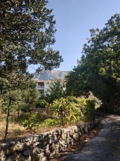 Apartments Silence - Mlini - 5