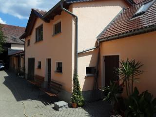 Ferienwohnung auf den Bauernhof - Tauscha - 1