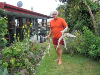 Moanarua Beach Cottage - 2